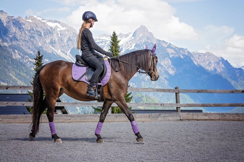 Horseback Riding in Ireland